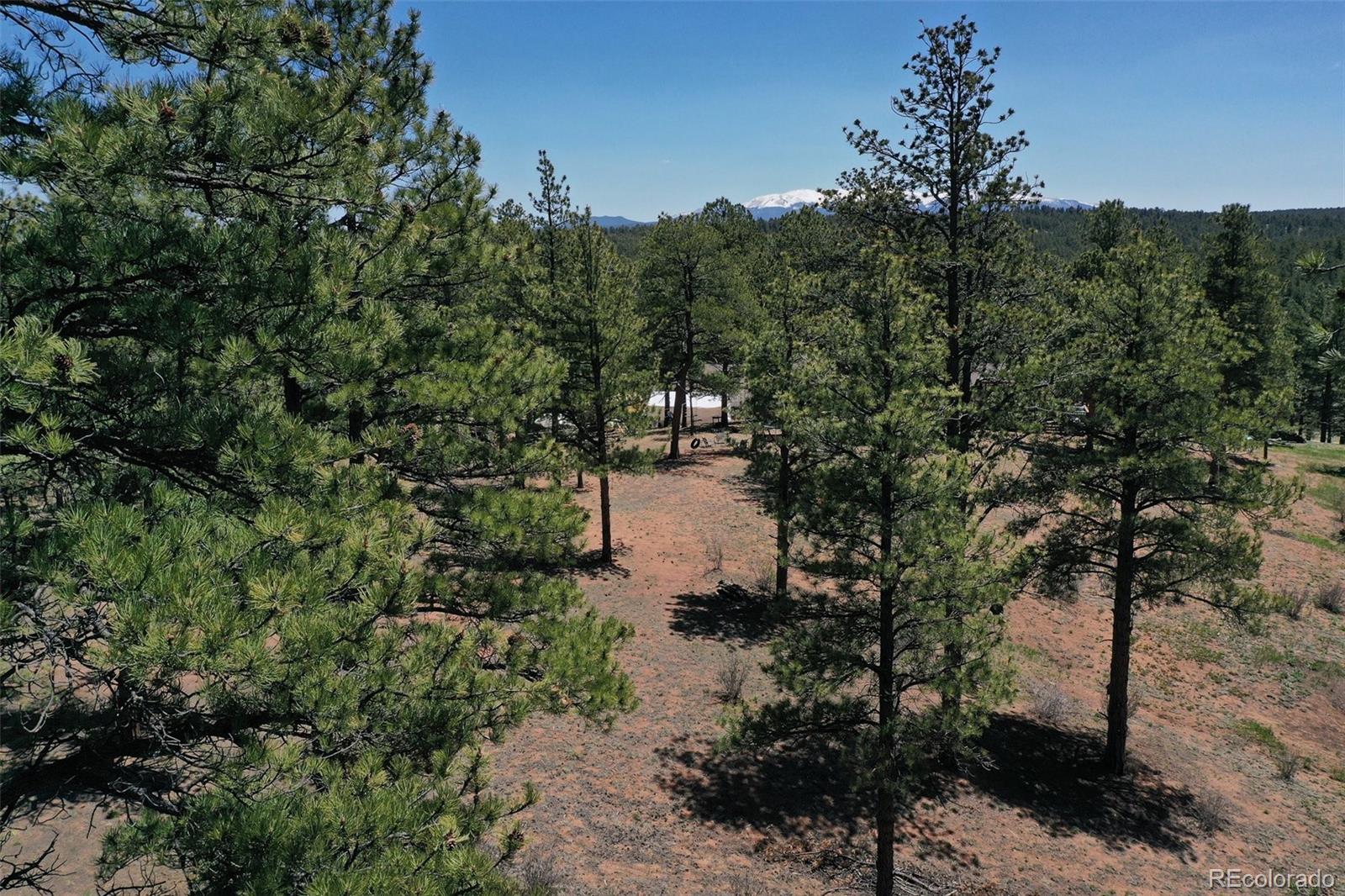 MLS Image #39 for 10199  cr-98 ,florissant, Colorado