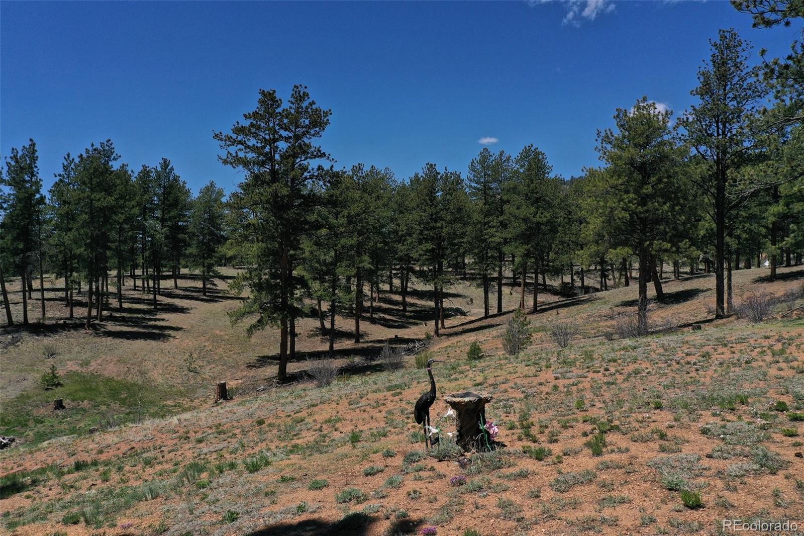 MLS Image #4 for 10199  cr-98 ,florissant, Colorado