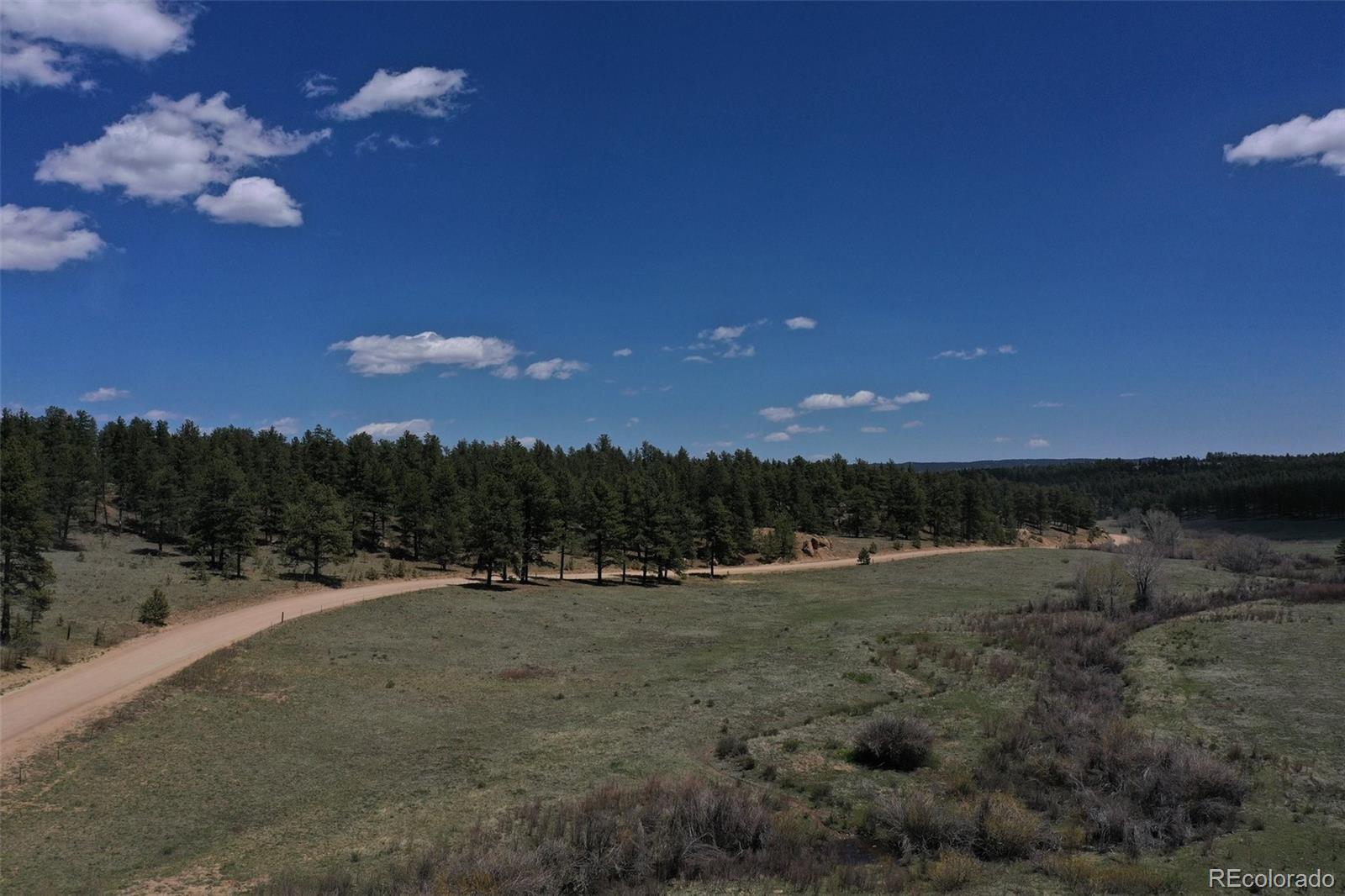 MLS Image #44 for 10199  cr-98 ,florissant, Colorado