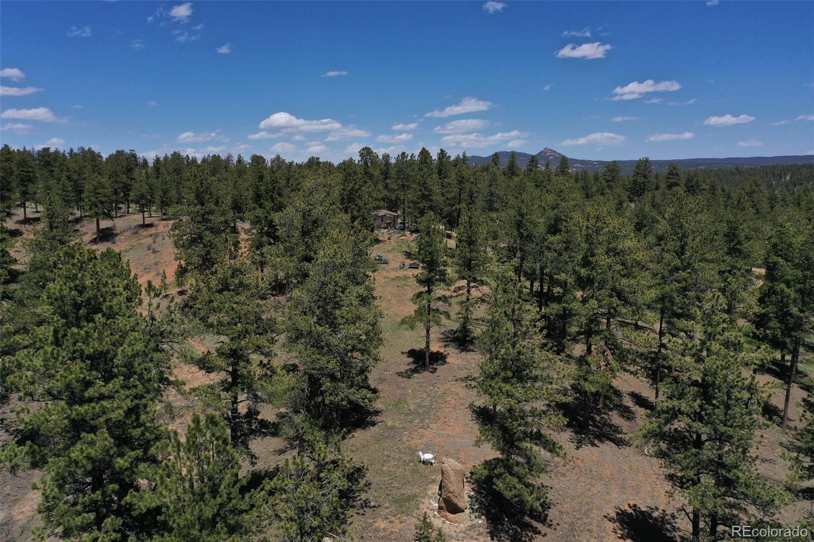 MLS Image #45 for 10199  cr-98 ,florissant, Colorado