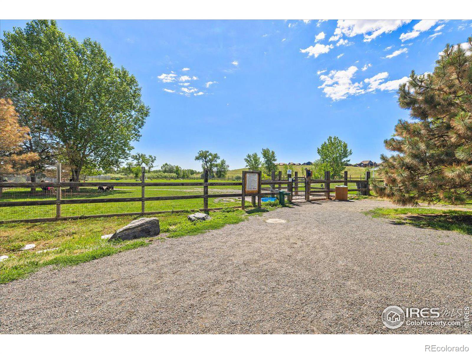 MLS Image #18 for 1810  shamrock drive,superior, Colorado