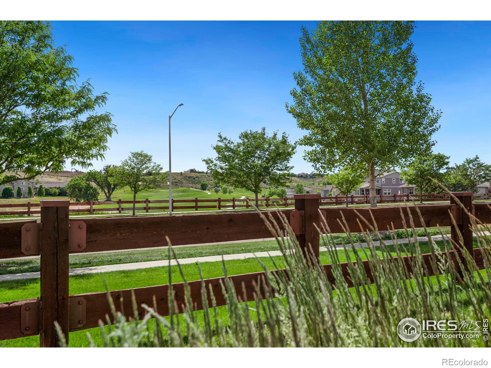 MLS Image #28 for 1970  tidewater lane,windsor, Colorado