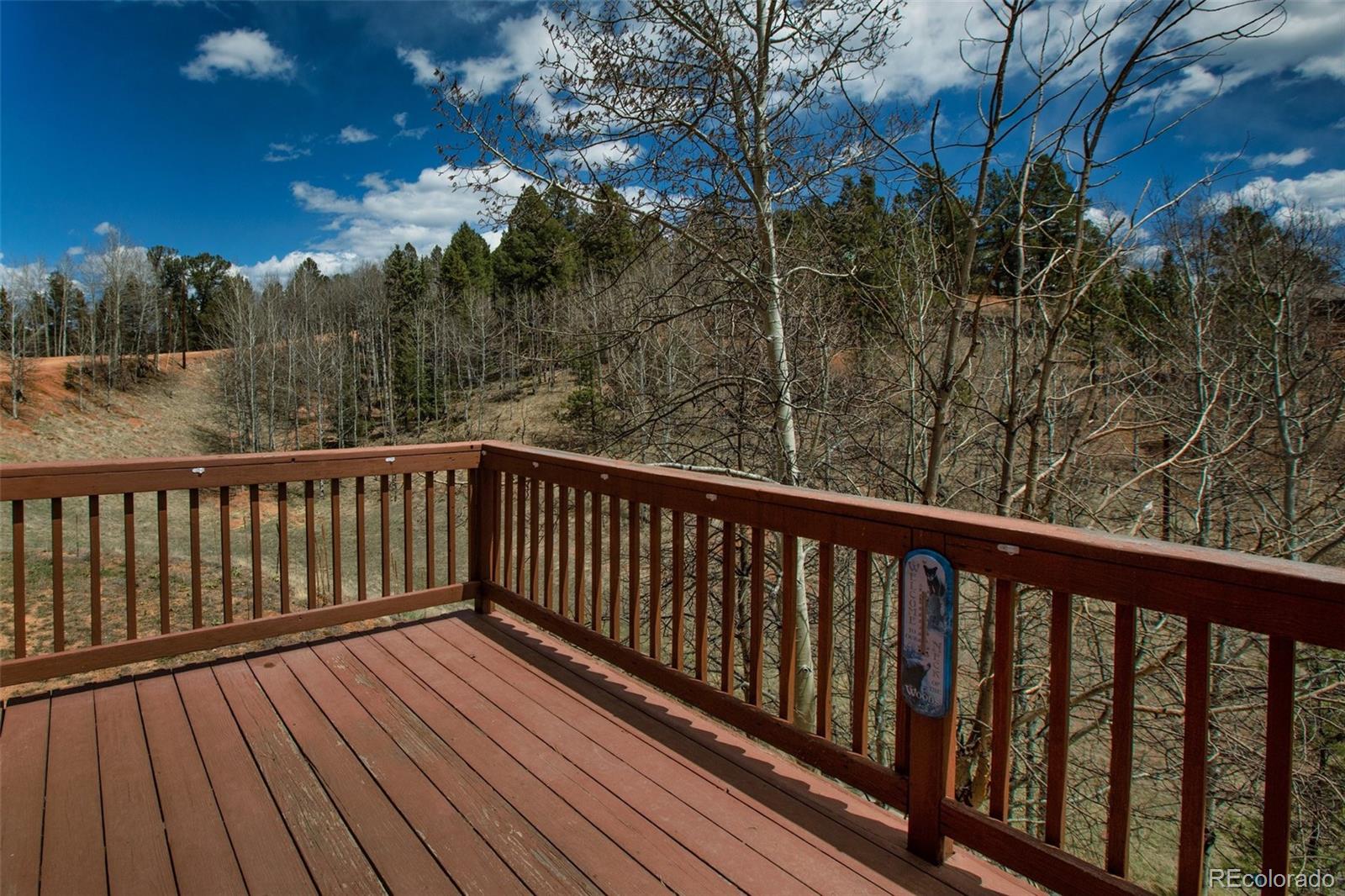 MLS Image #13 for 3527  blue mesa drive,divide, Colorado