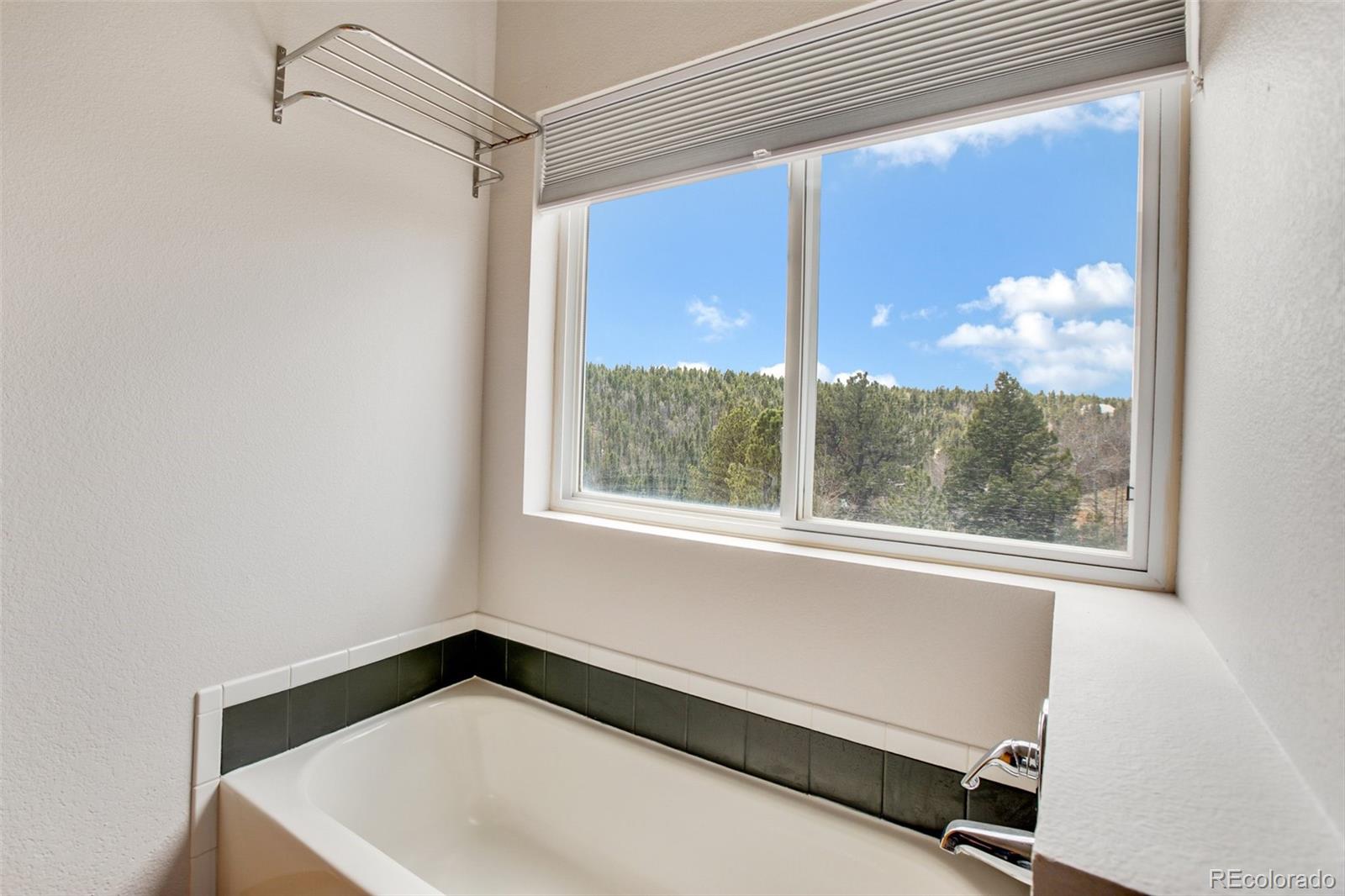 MLS Image #26 for 3527  blue mesa drive,divide, Colorado