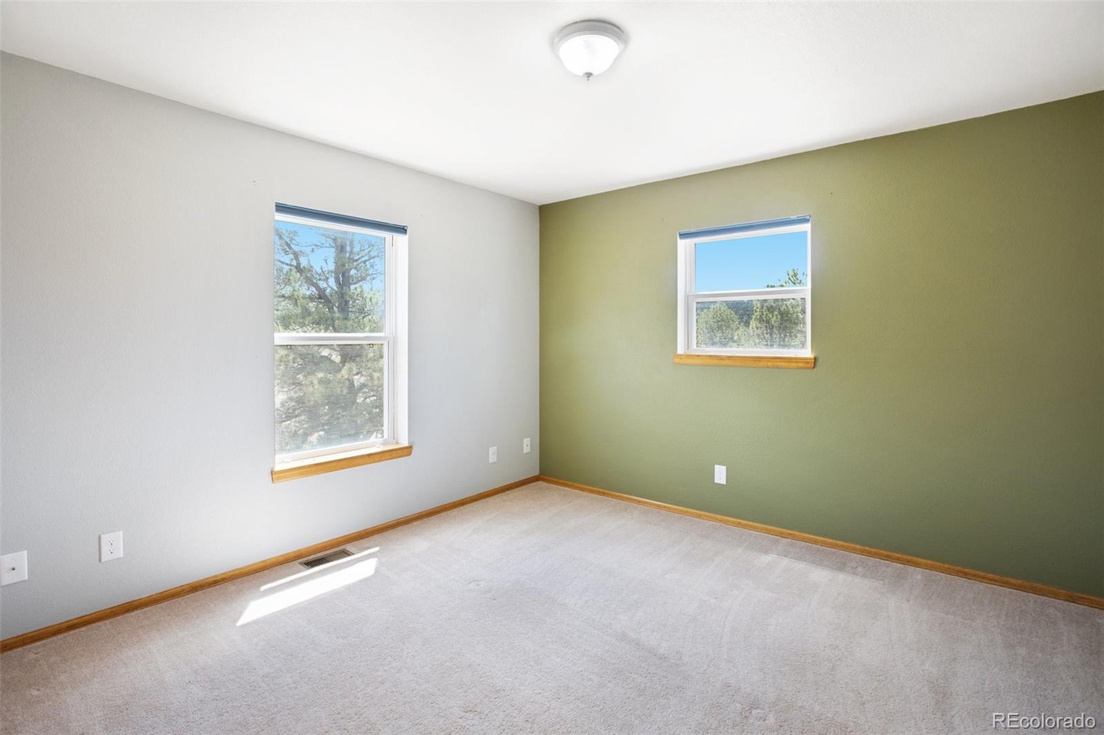 MLS Image #29 for 3527  blue mesa drive,divide, Colorado