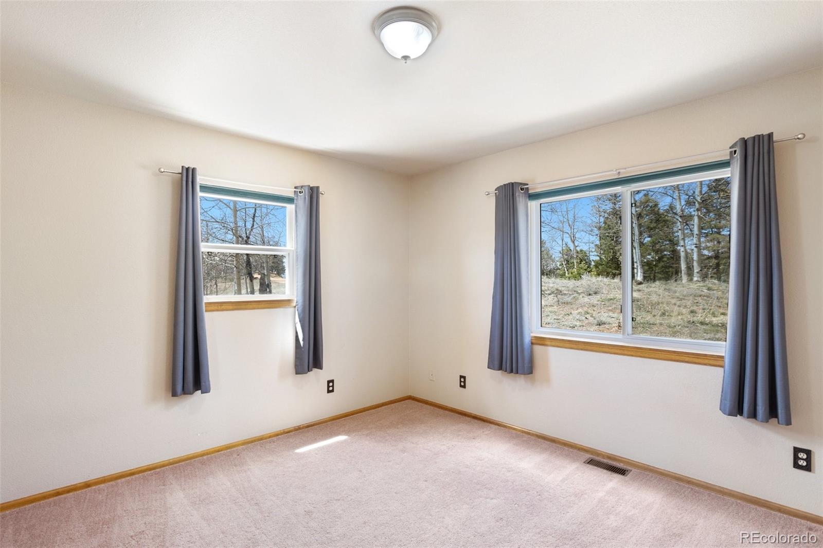 MLS Image #32 for 3527  blue mesa drive,divide, Colorado