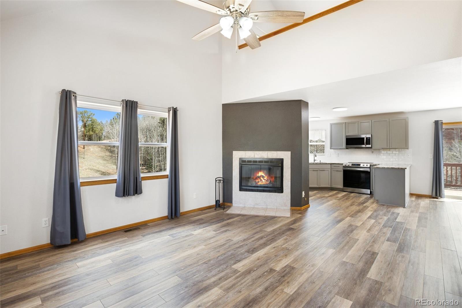 MLS Image #6 for 3527  blue mesa drive,divide, Colorado