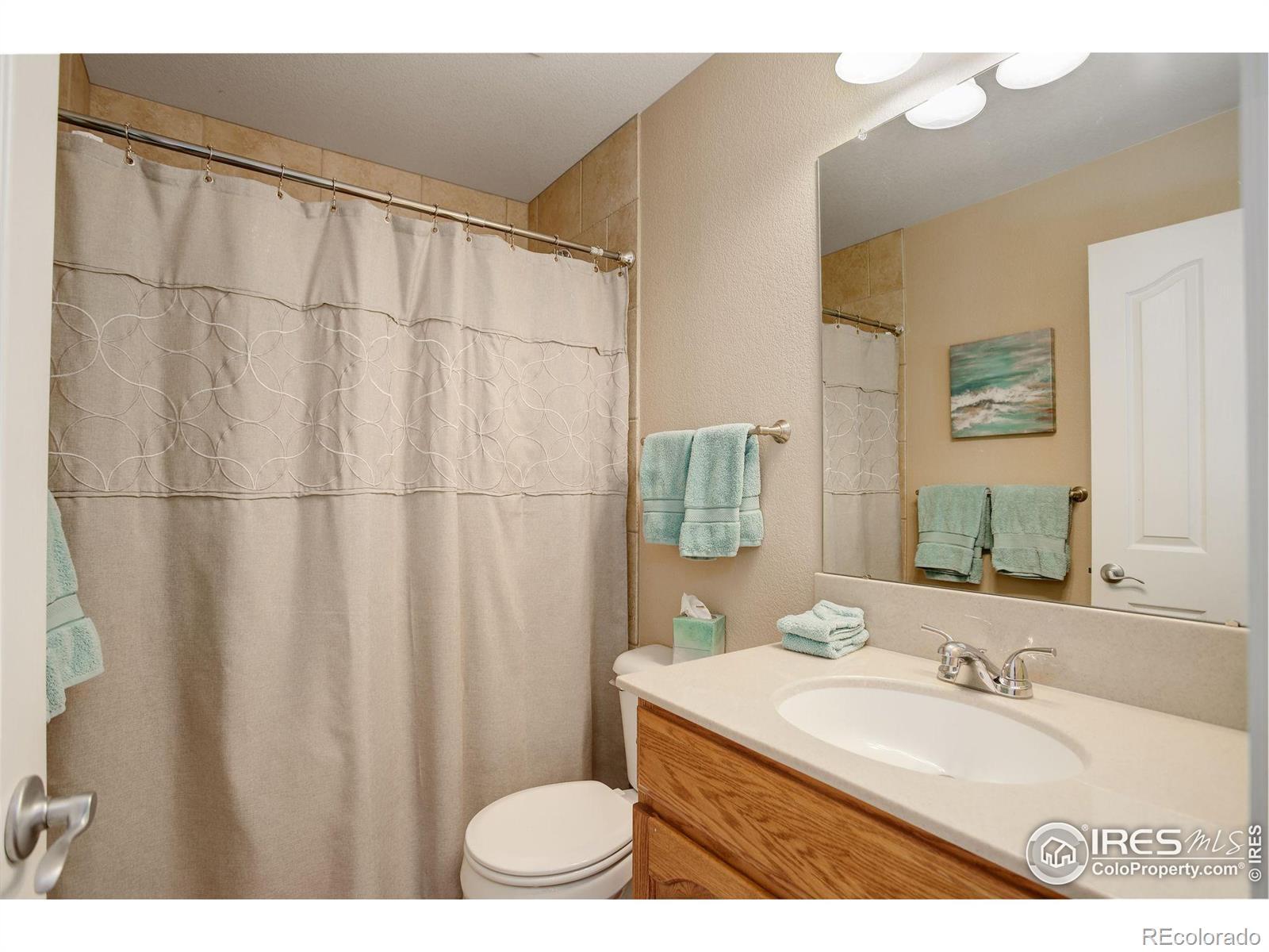 MLS Image #26 for 2222  dominic court,severance, Colorado
