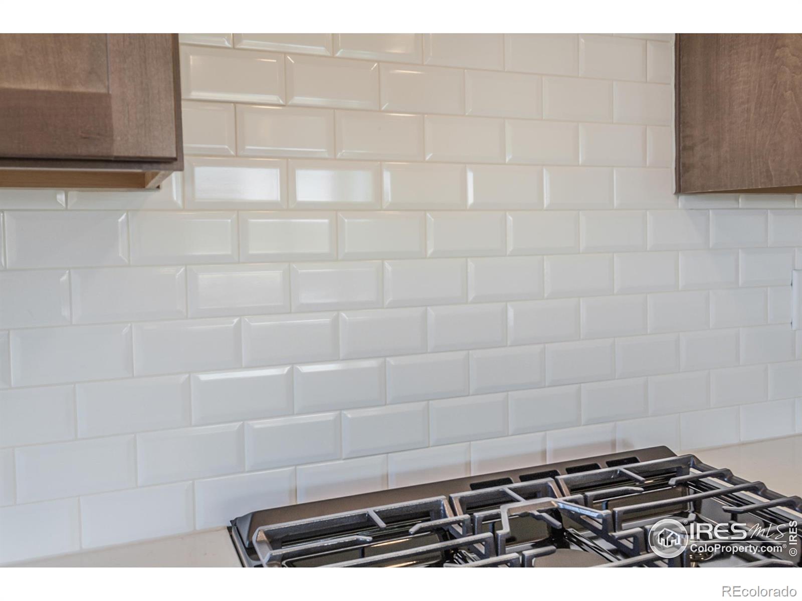 MLS Image #11 for 6104  dutch drive,timnath, Colorado
