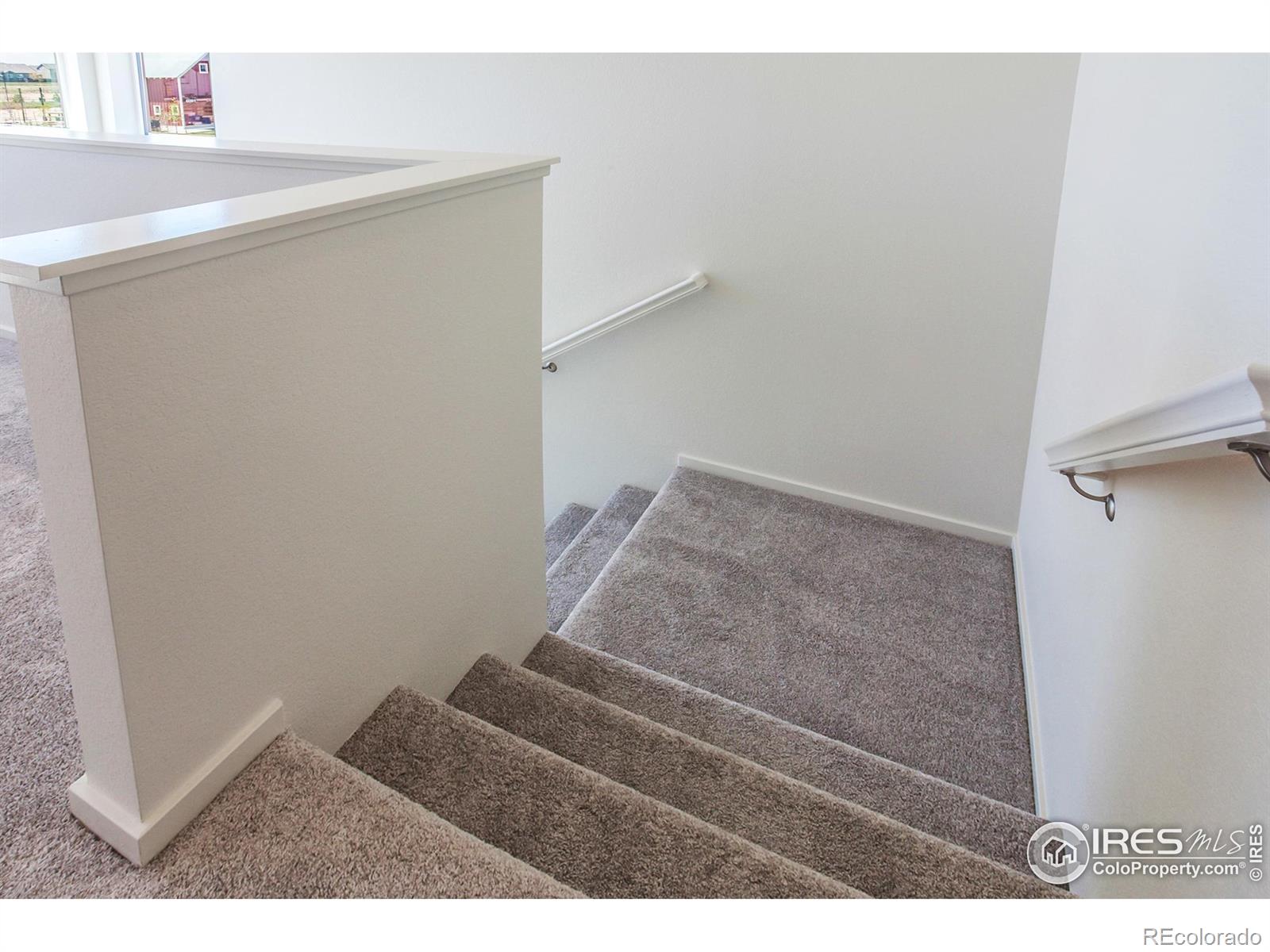 MLS Image #17 for 6104  dutch drive,timnath, Colorado