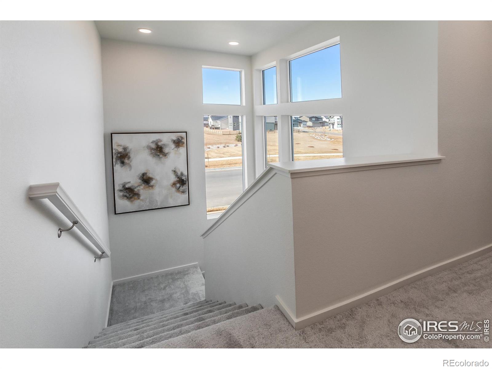 MLS Image #23 for 6101  saddle horn drive,timnath, Colorado