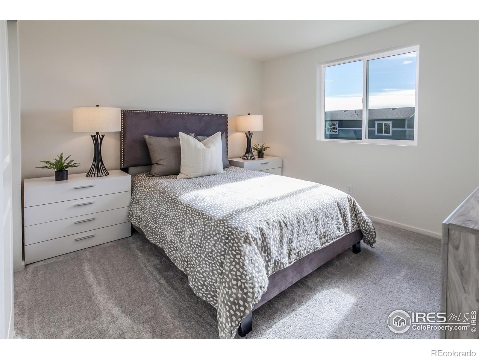 MLS Image #27 for 6101  saddle horn drive,timnath, Colorado