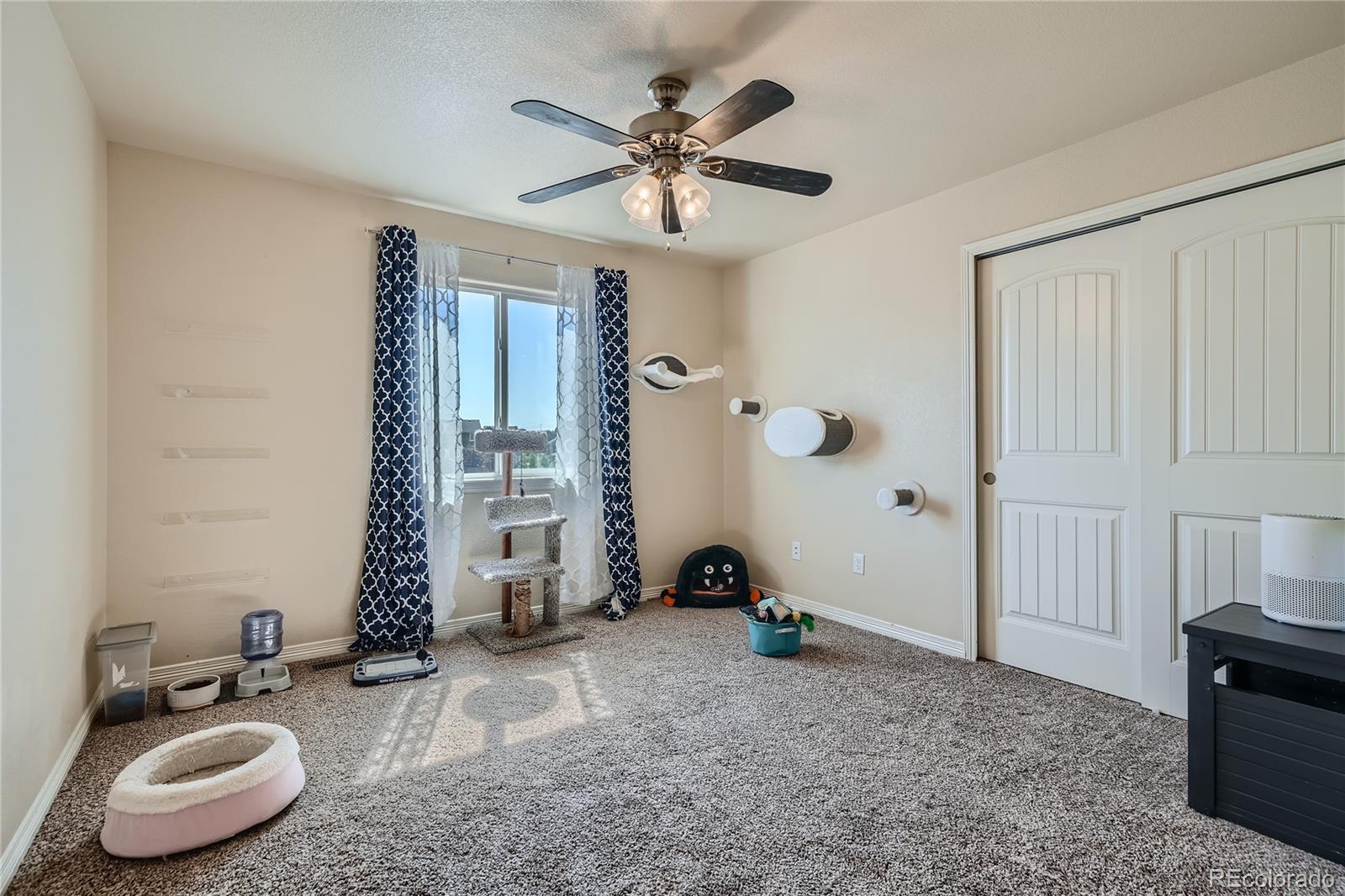 MLS Image #15 for 6613  alliance loop,colorado springs, Colorado