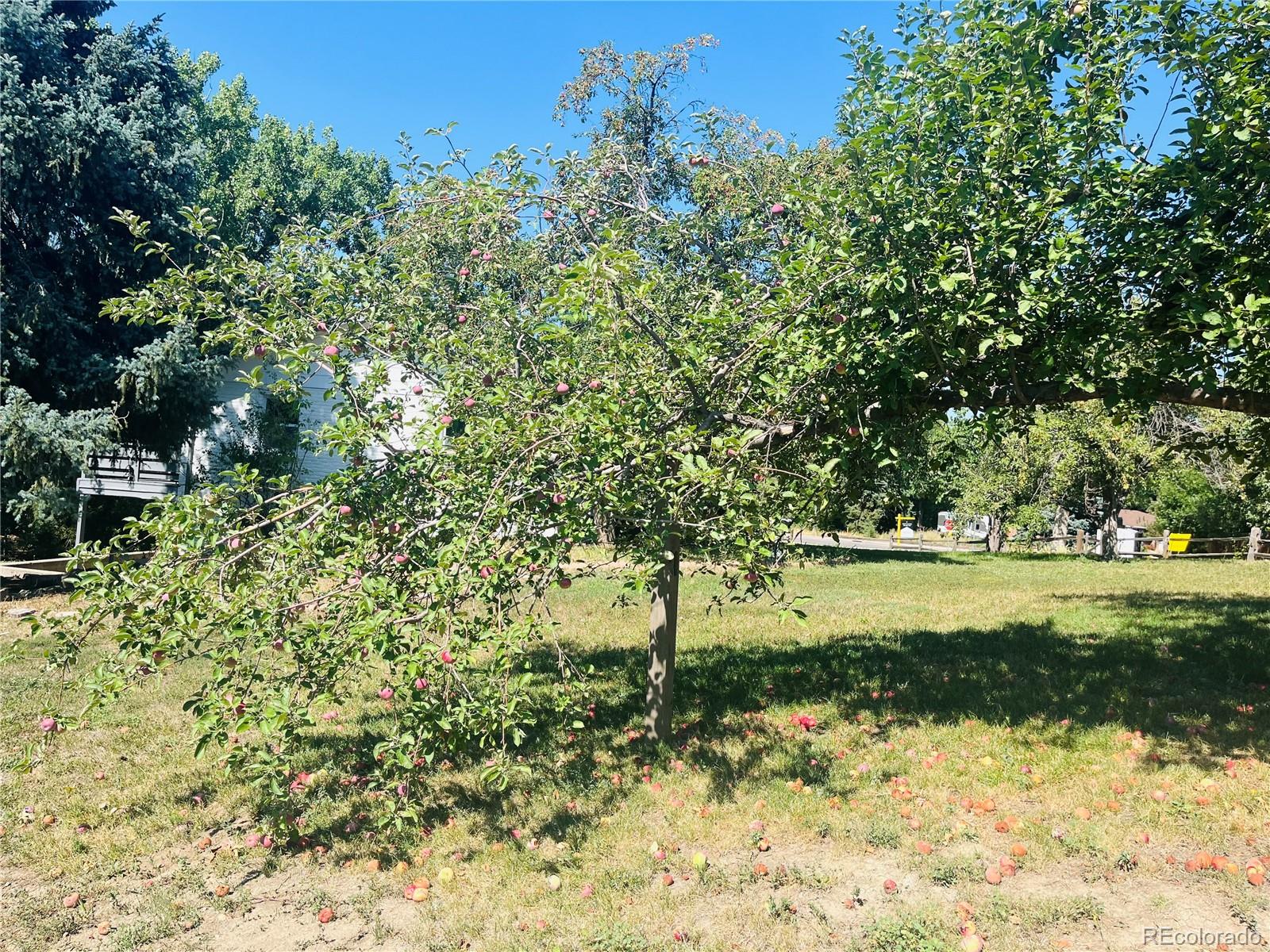 MLS Image #31 for 3179  vivian street,wheat ridge, Colorado