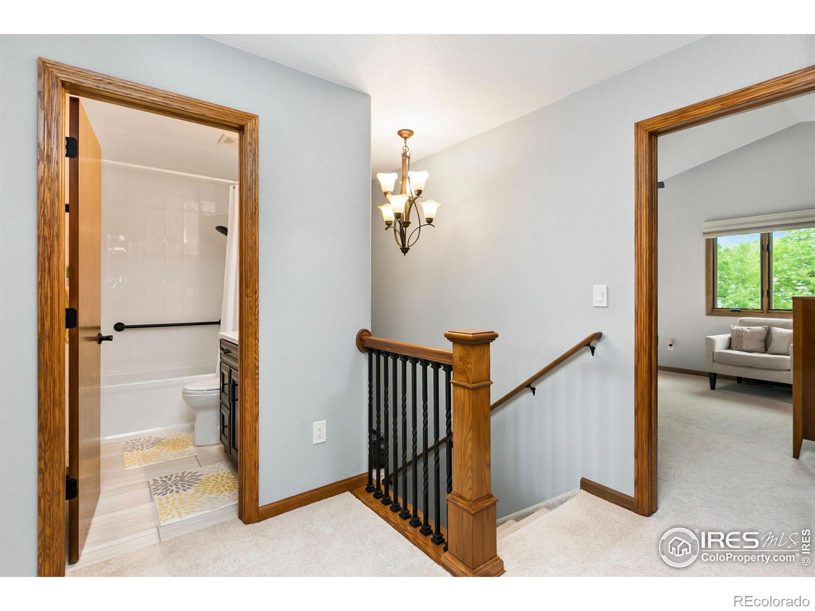 MLS Image #18 for 2608  pheasant drive,longmont, Colorado