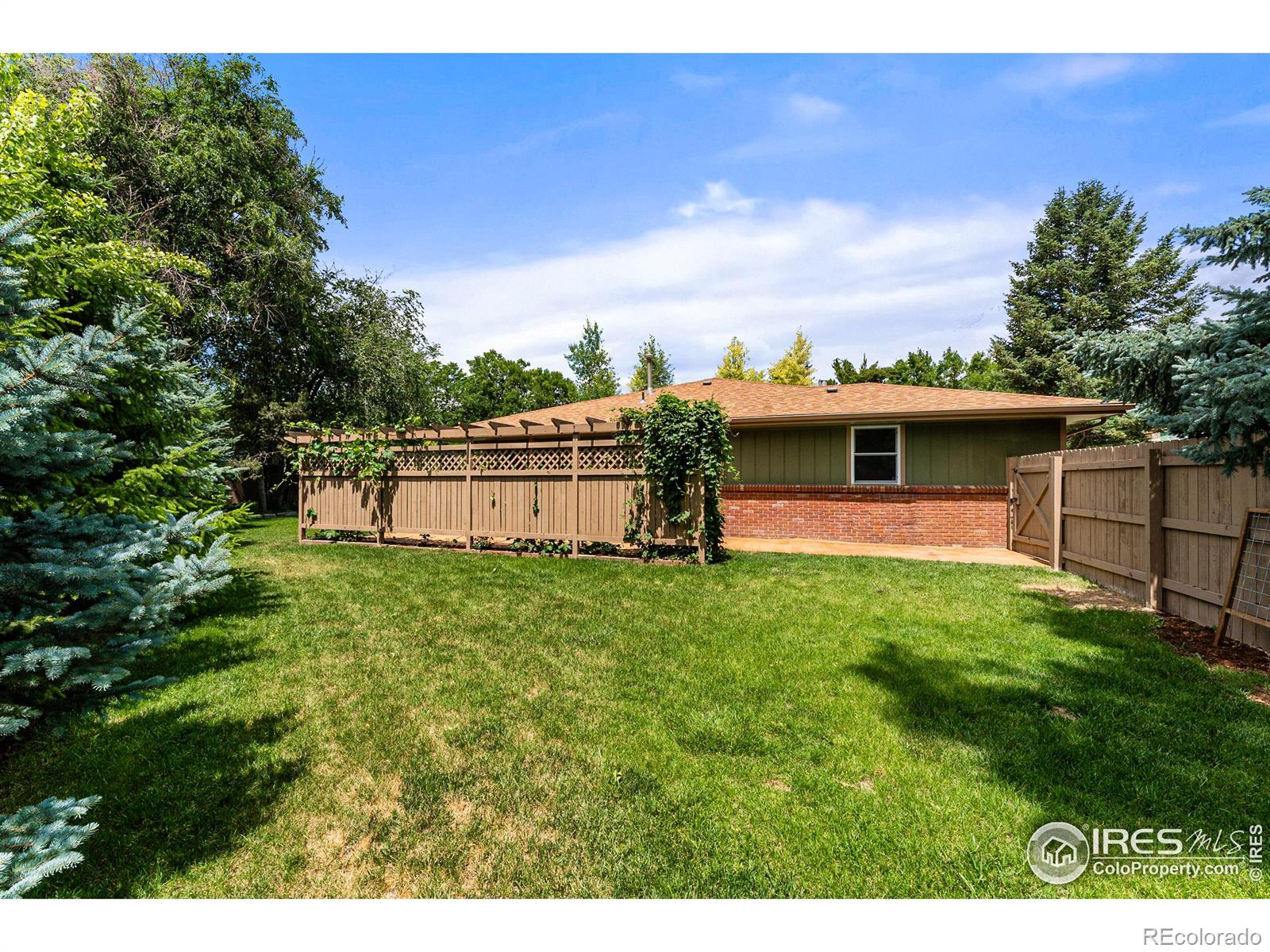 MLS Image #32 for 1531  peterson place,longmont, Colorado