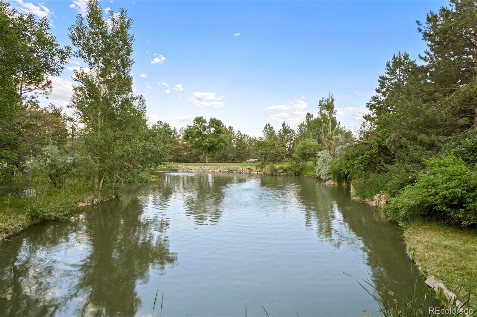 MLS Image #42 for 36  castle pines drive,castle rock, Colorado