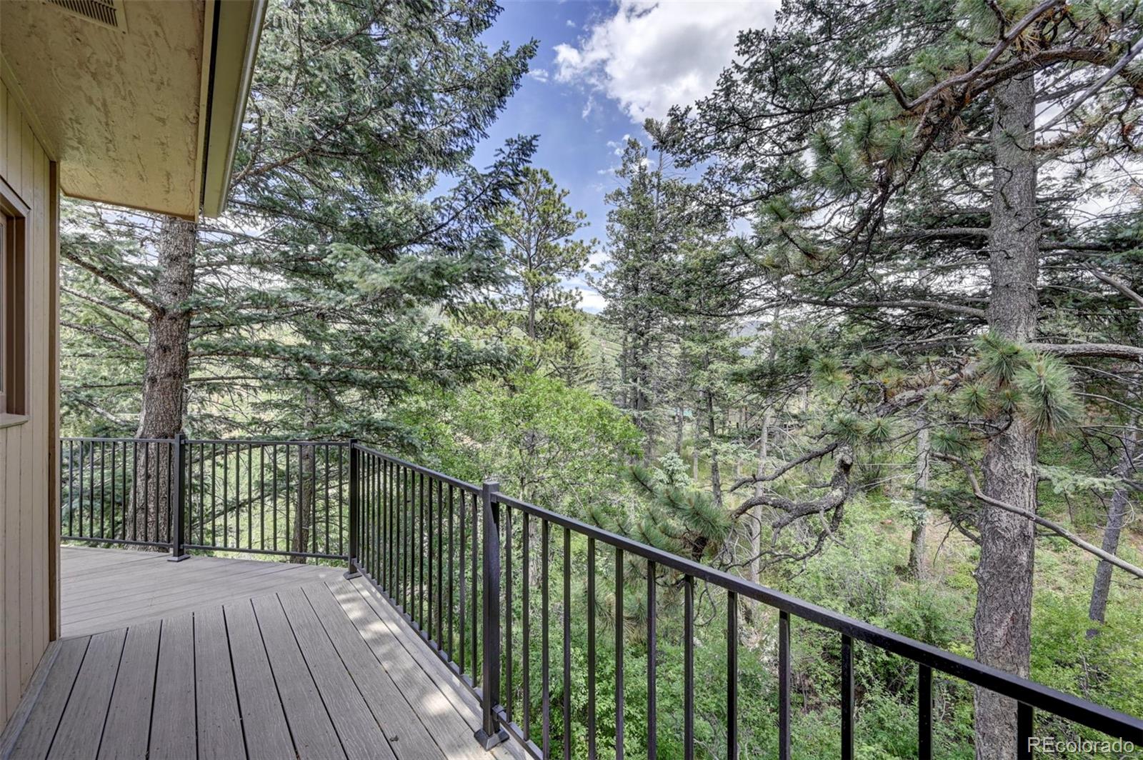 MLS Image #39 for 10070  wild wood road,cascade, Colorado