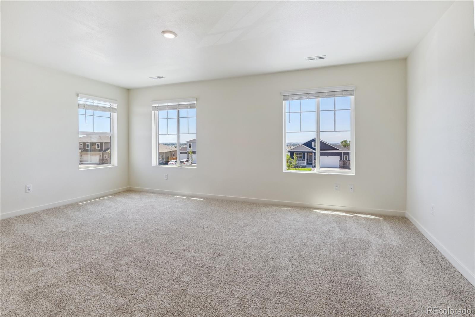 MLS Image #14 for 13601  topaz place,mead, Colorado