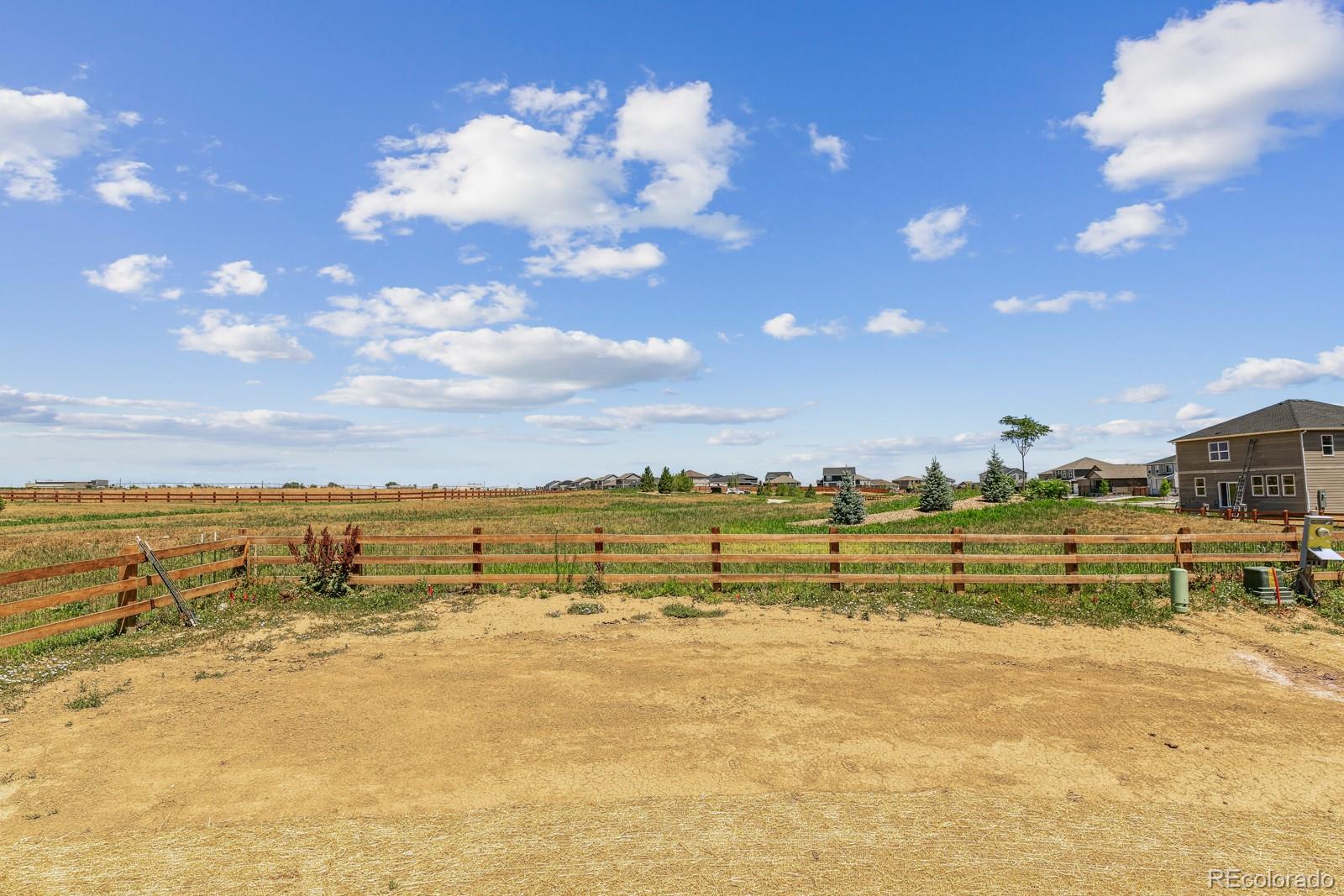 MLS Image #24 for 13601  topaz place,mead, Colorado