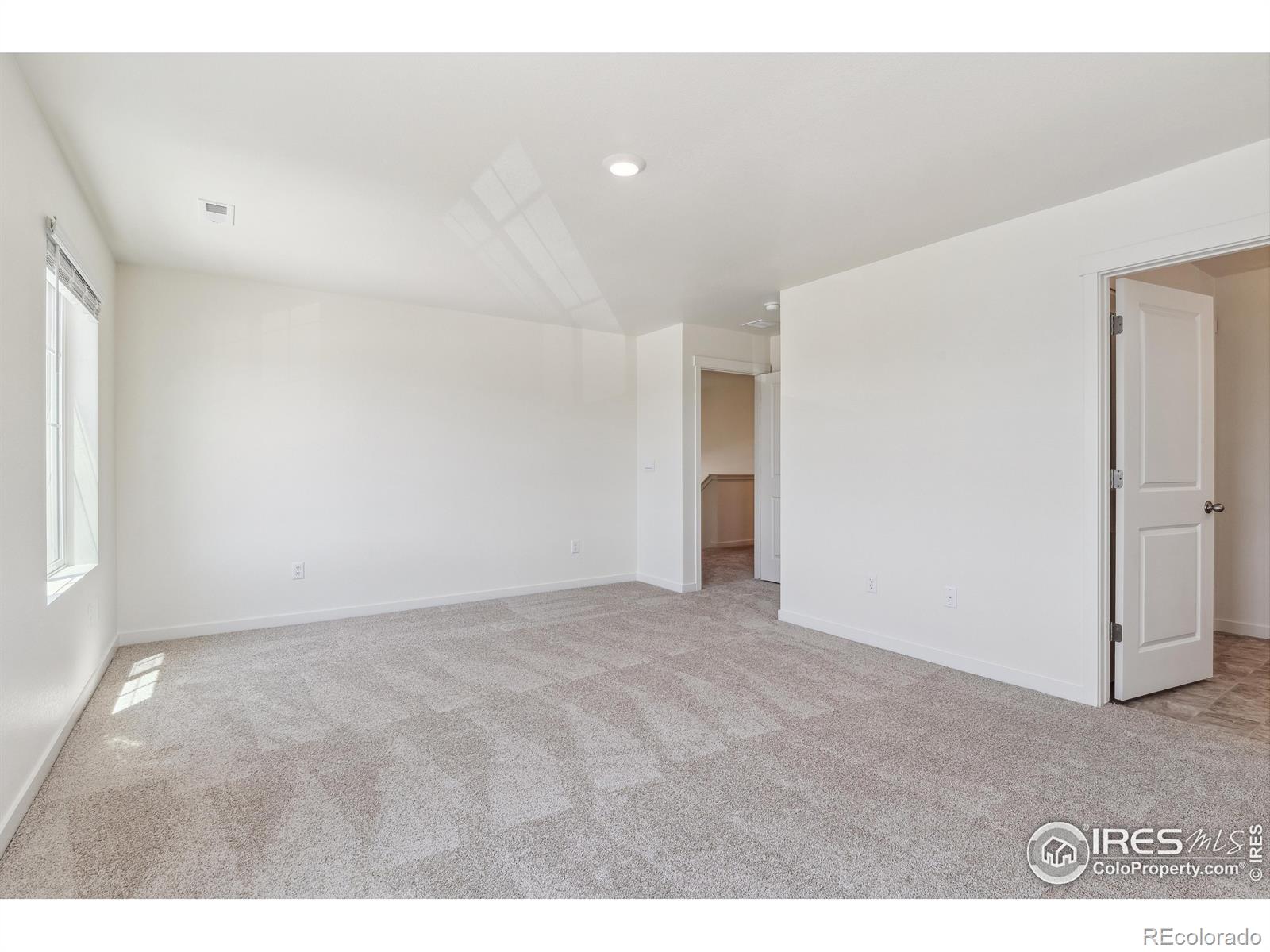 MLS Image #15 for 13601  topaz place,mead, Colorado