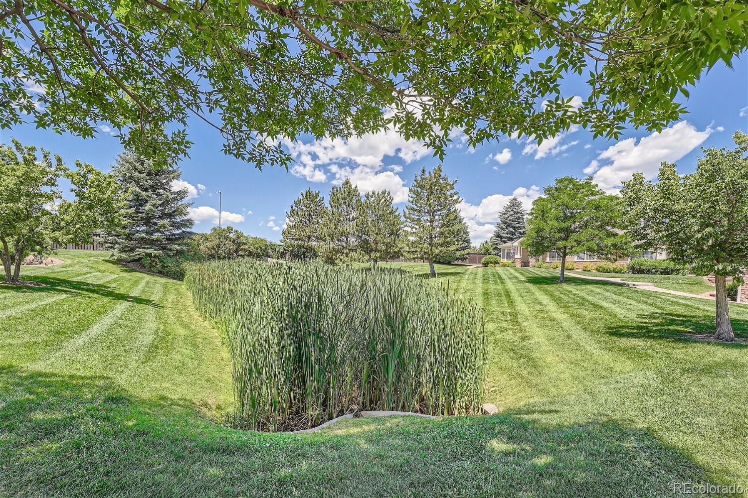 MLS Image #27 for 13899  legend trail,broomfield, Colorado