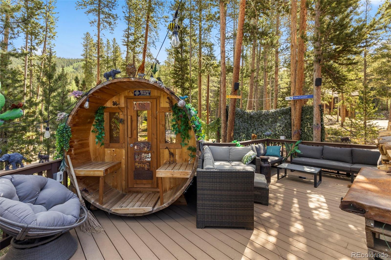 MLS Image #46 for 153  regal circle,breckenridge, Colorado