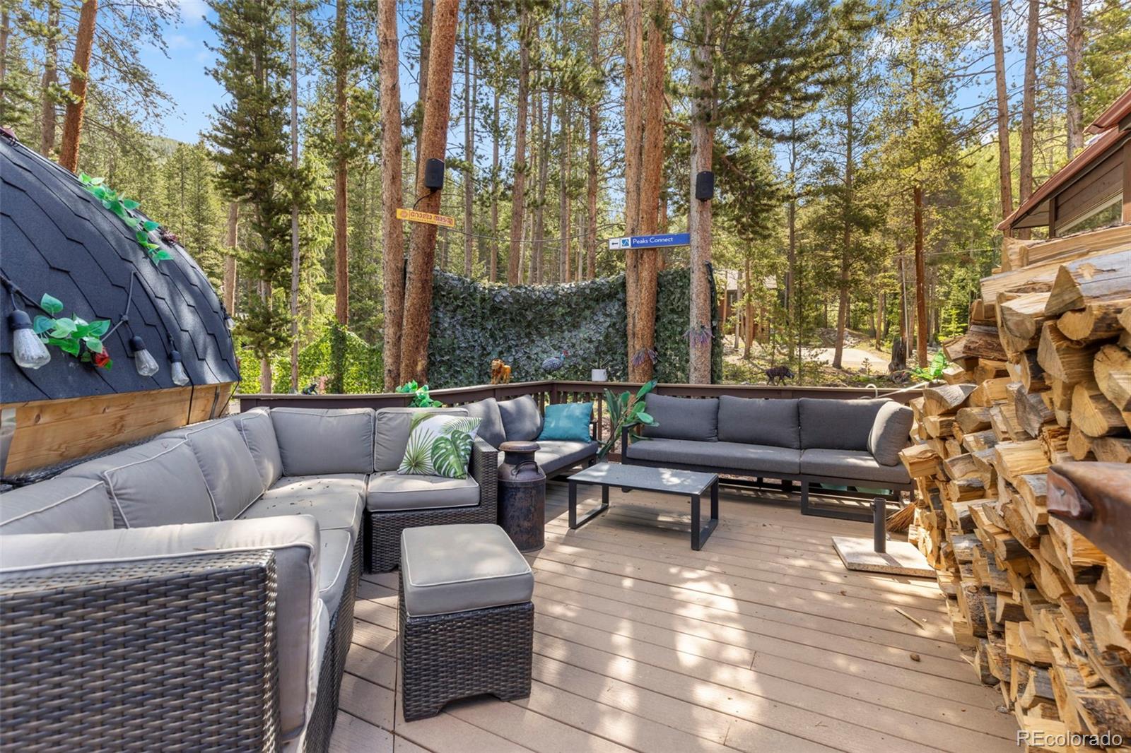 MLS Image #47 for 153  regal circle,breckenridge, Colorado