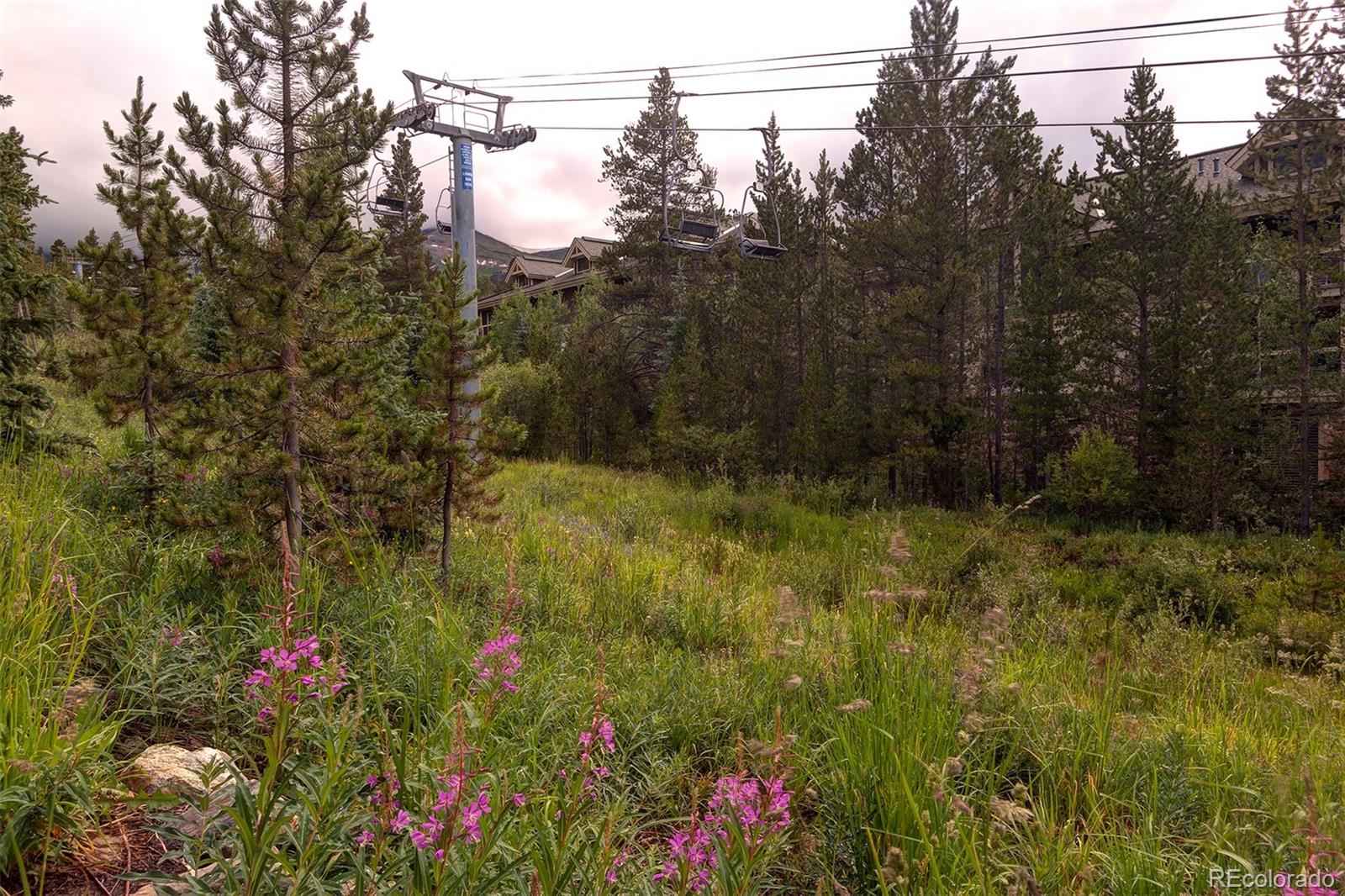 MLS Image #18 for 655  four oclock road,breckenridge, Colorado