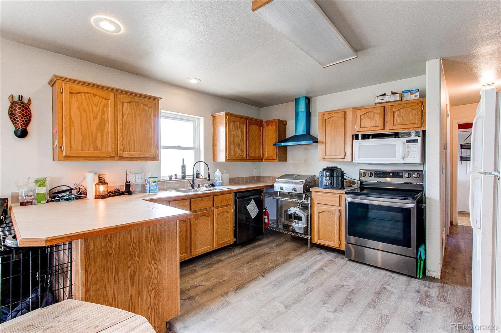 MLS Image #2 for 35951  private road 73 ,kiowa, Colorado