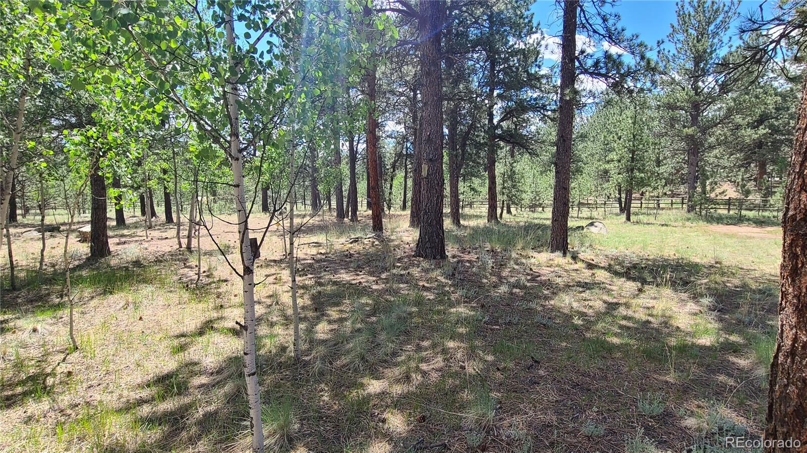 MLS Image #17 for 482  tincup terrace,bailey, Colorado