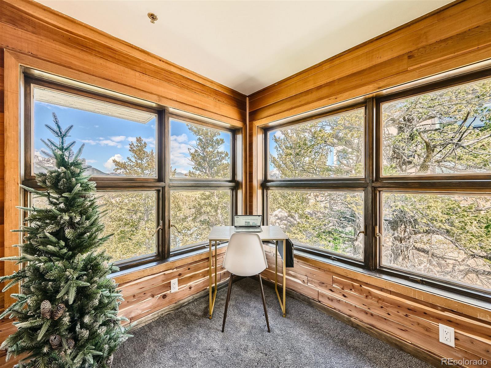 MLS Image #20 for 127  torrey lane,dillon, Colorado