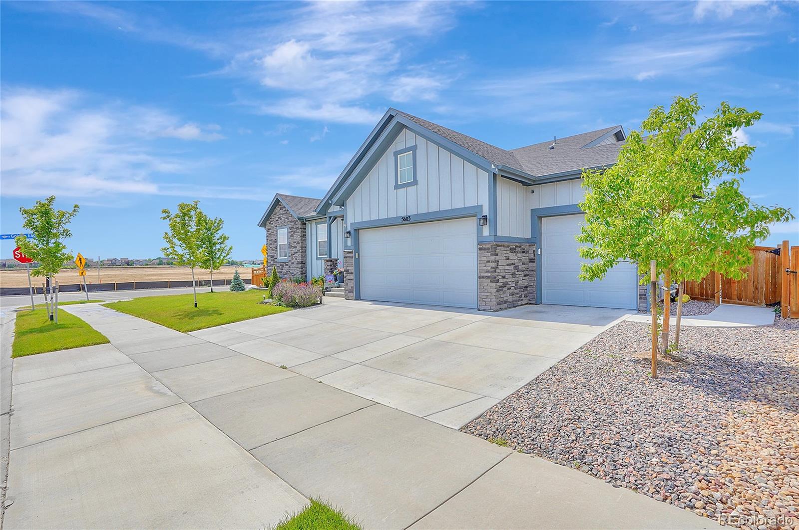 CMA Image for 5603  gore creek place,Brighton, Colorado