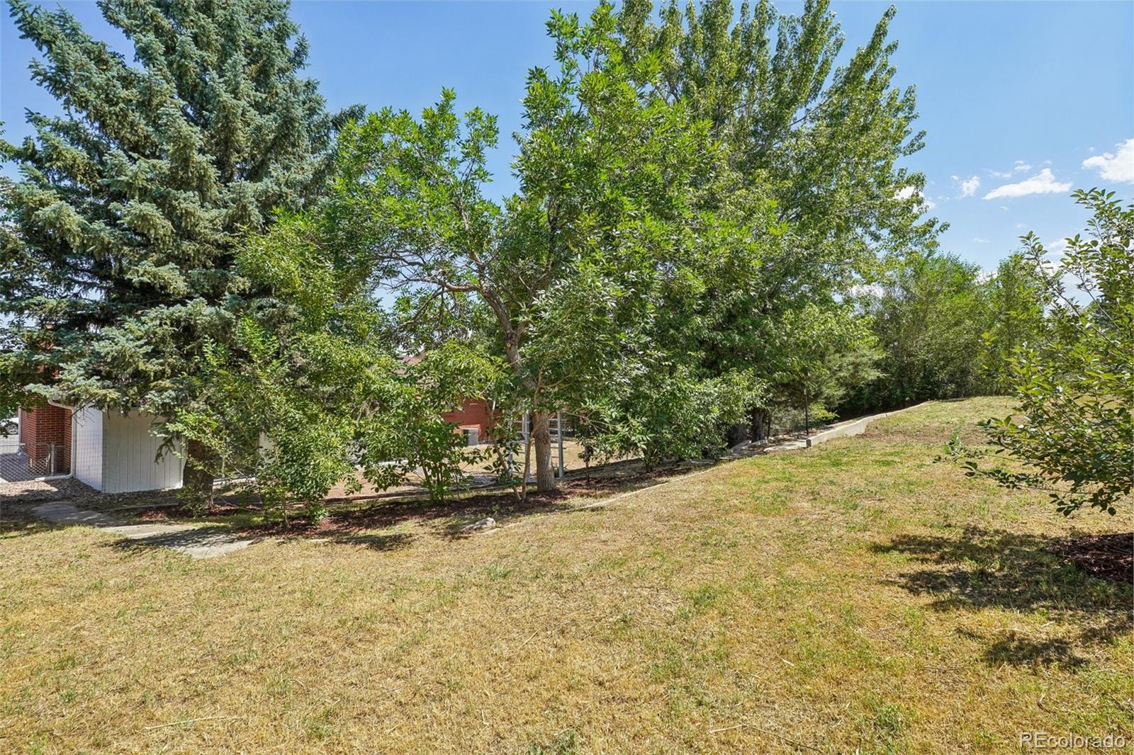 MLS Image #48 for 891  beech street,golden, Colorado