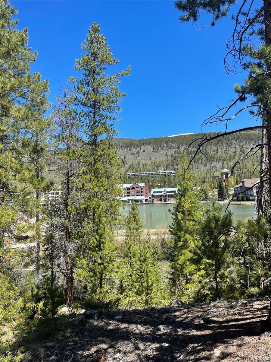 MLS Image #13 for 0117  lake ridge circle 1862,keystone, Colorado