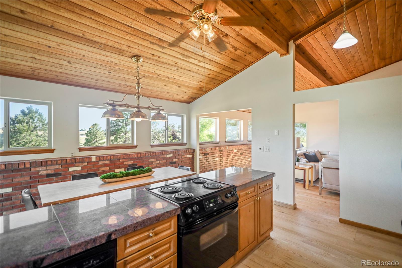 MLS Image #10 for 9026 e rocky mountain lane,parker, Colorado