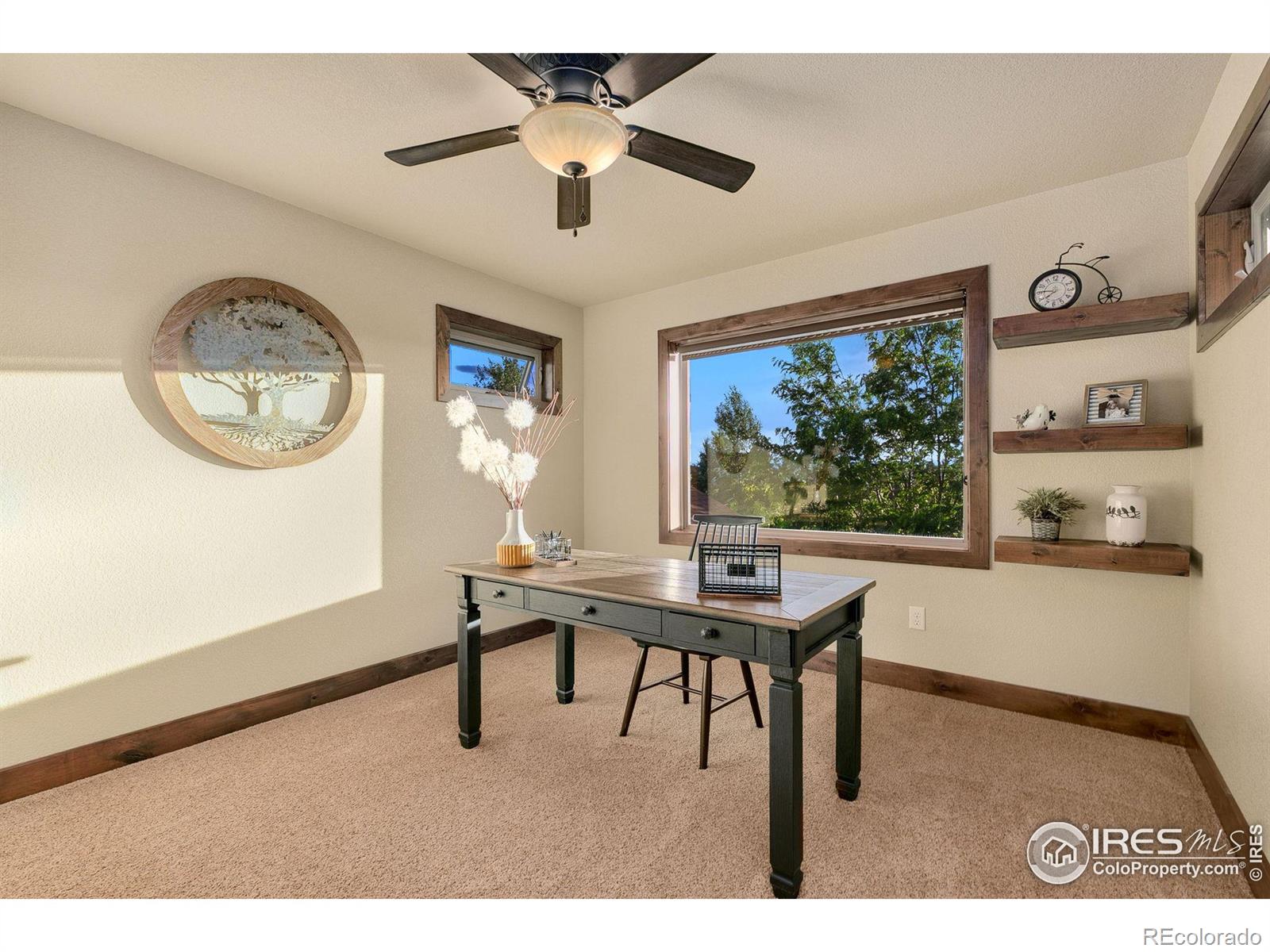 MLS Image #19 for 8731  longs peak circle,windsor, Colorado