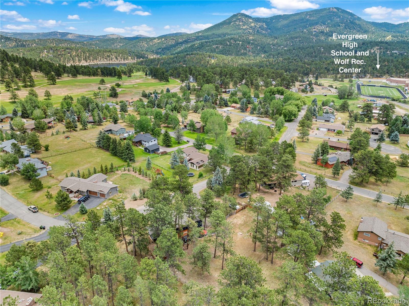 MLS Image #4 for 29484  greenwood lane,evergreen, Colorado