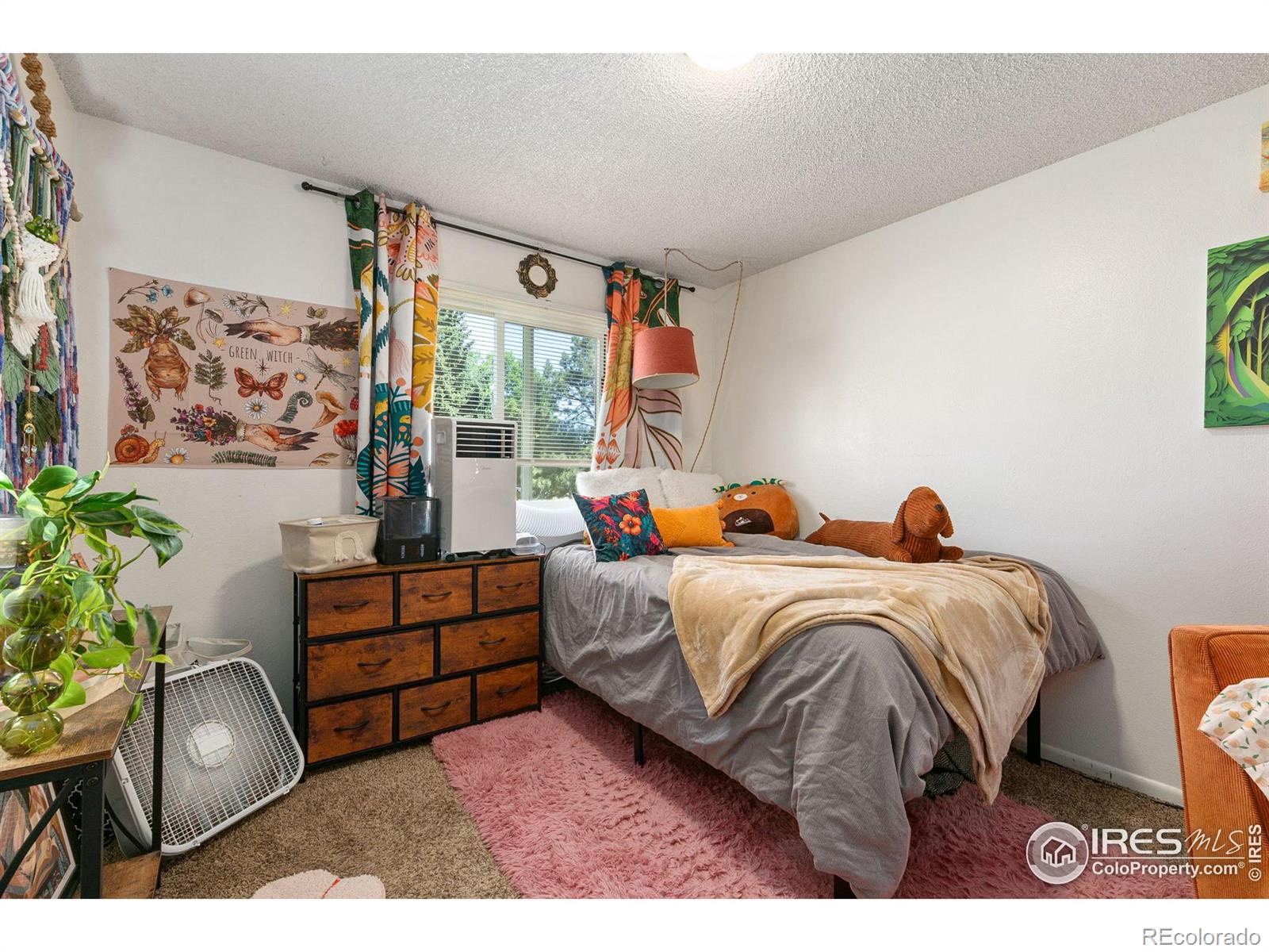 MLS Image #11 for 3005  ross drive,fort collins, Colorado