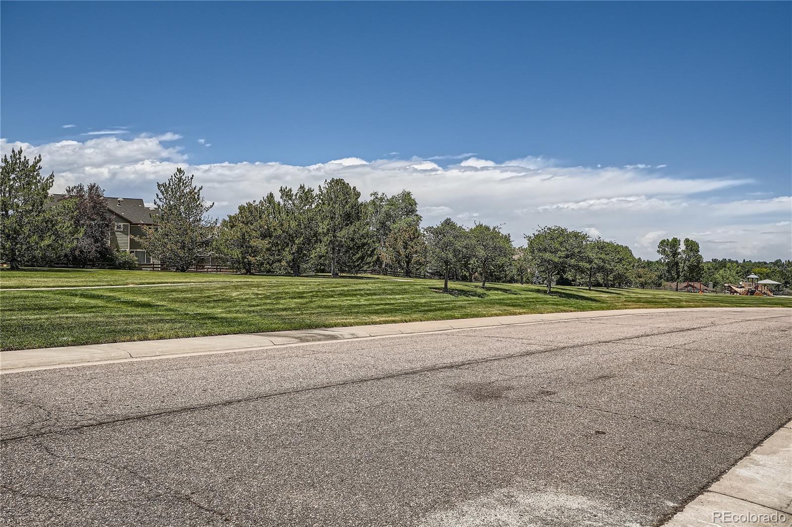 Report Image for 10566  Stonewillow Drive,Parker, Colorado