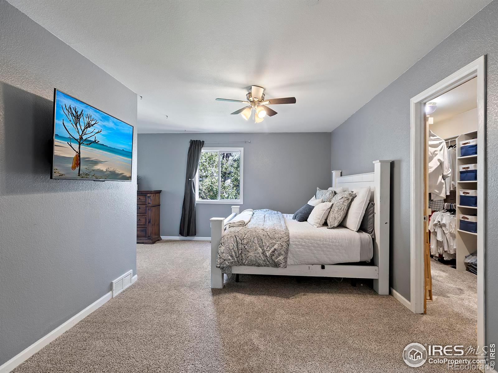 MLS Image #18 for 3633  harding drive,loveland, Colorado