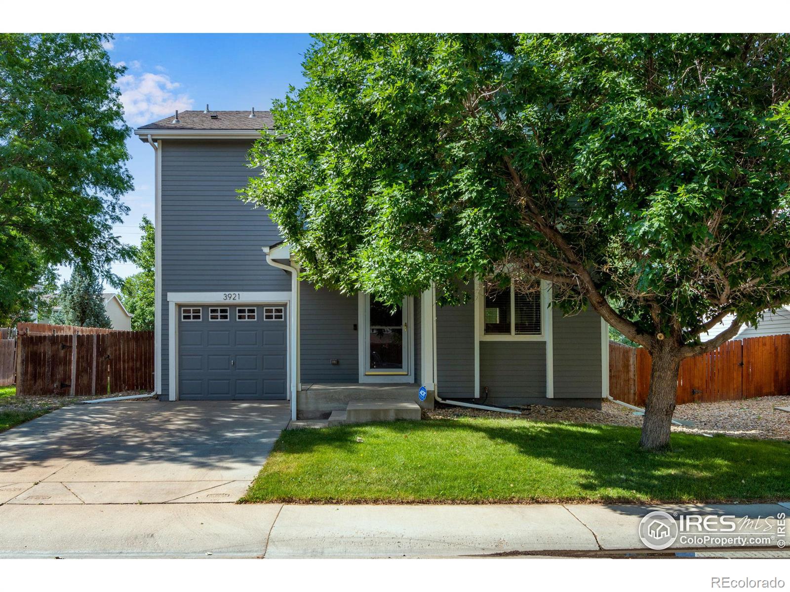 CMA Image for 3921  celtic lane,Fort Collins, Colorado