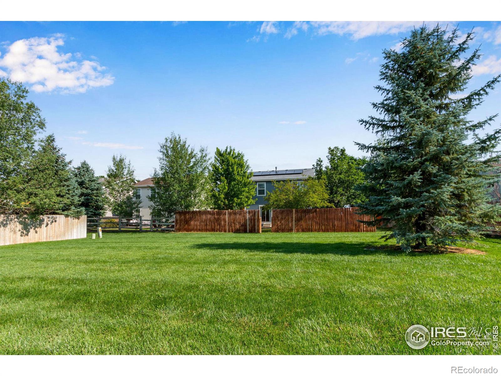 MLS Image #21 for 3921  celtic lane,fort collins, Colorado