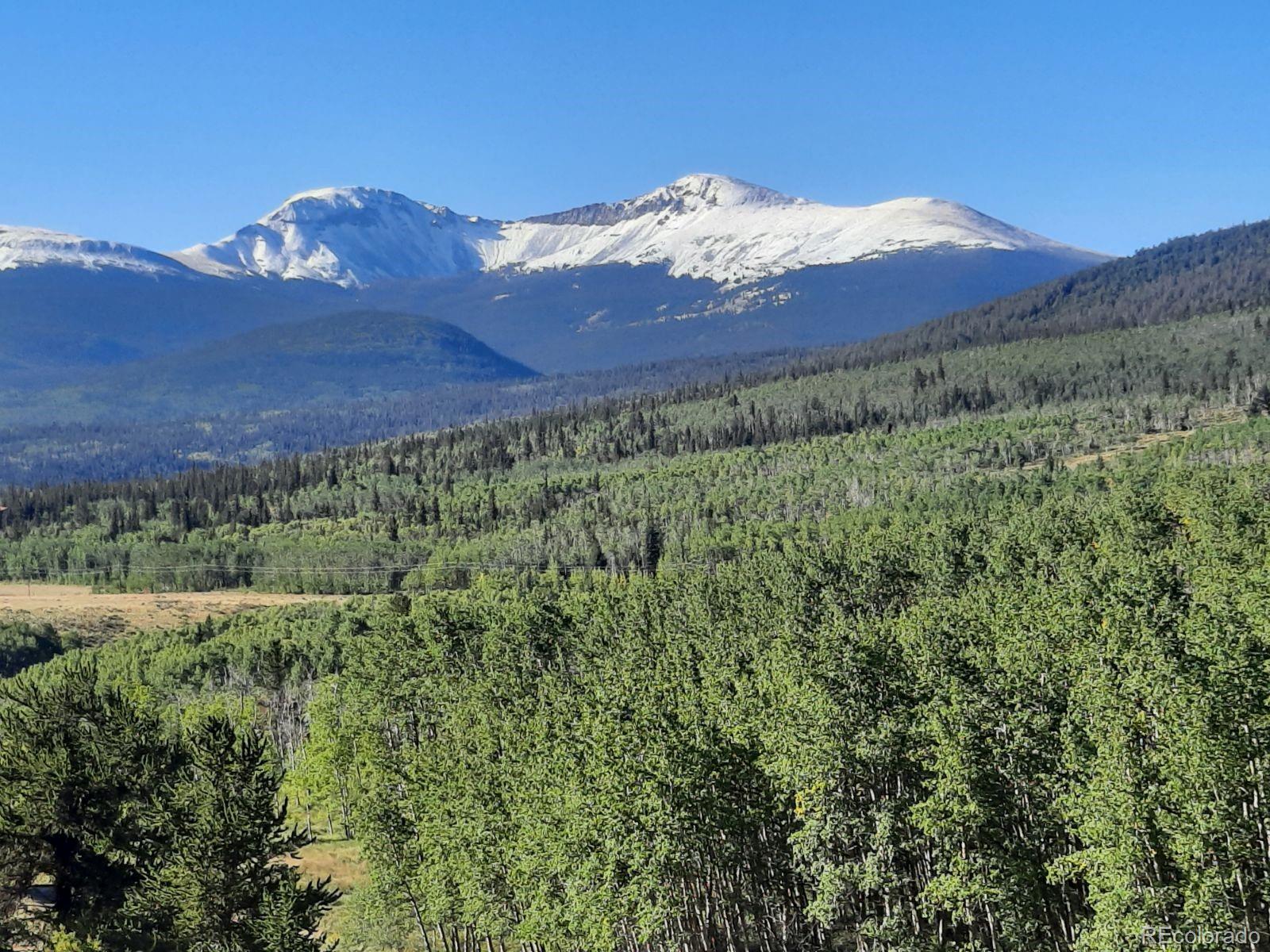 MLS Image #4 for 485  meadow drive,fairplay, Colorado