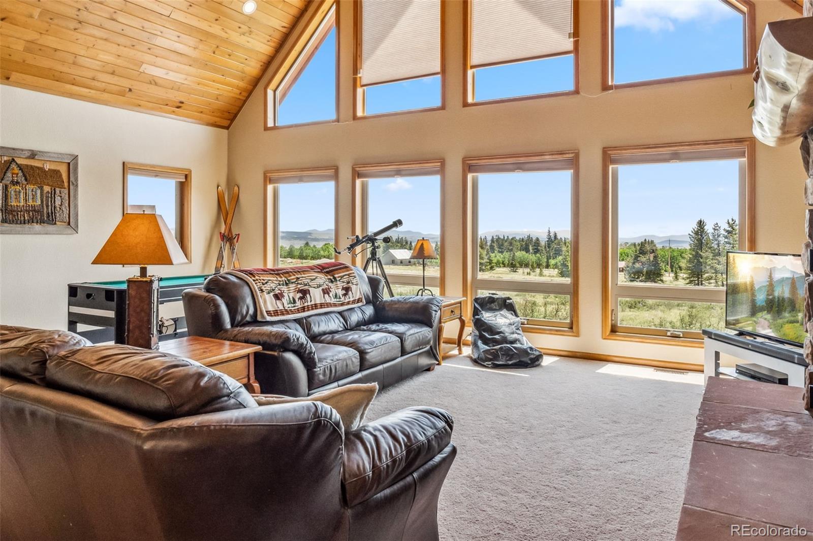 MLS Image #3 for 507  bluestem way,fairplay, Colorado