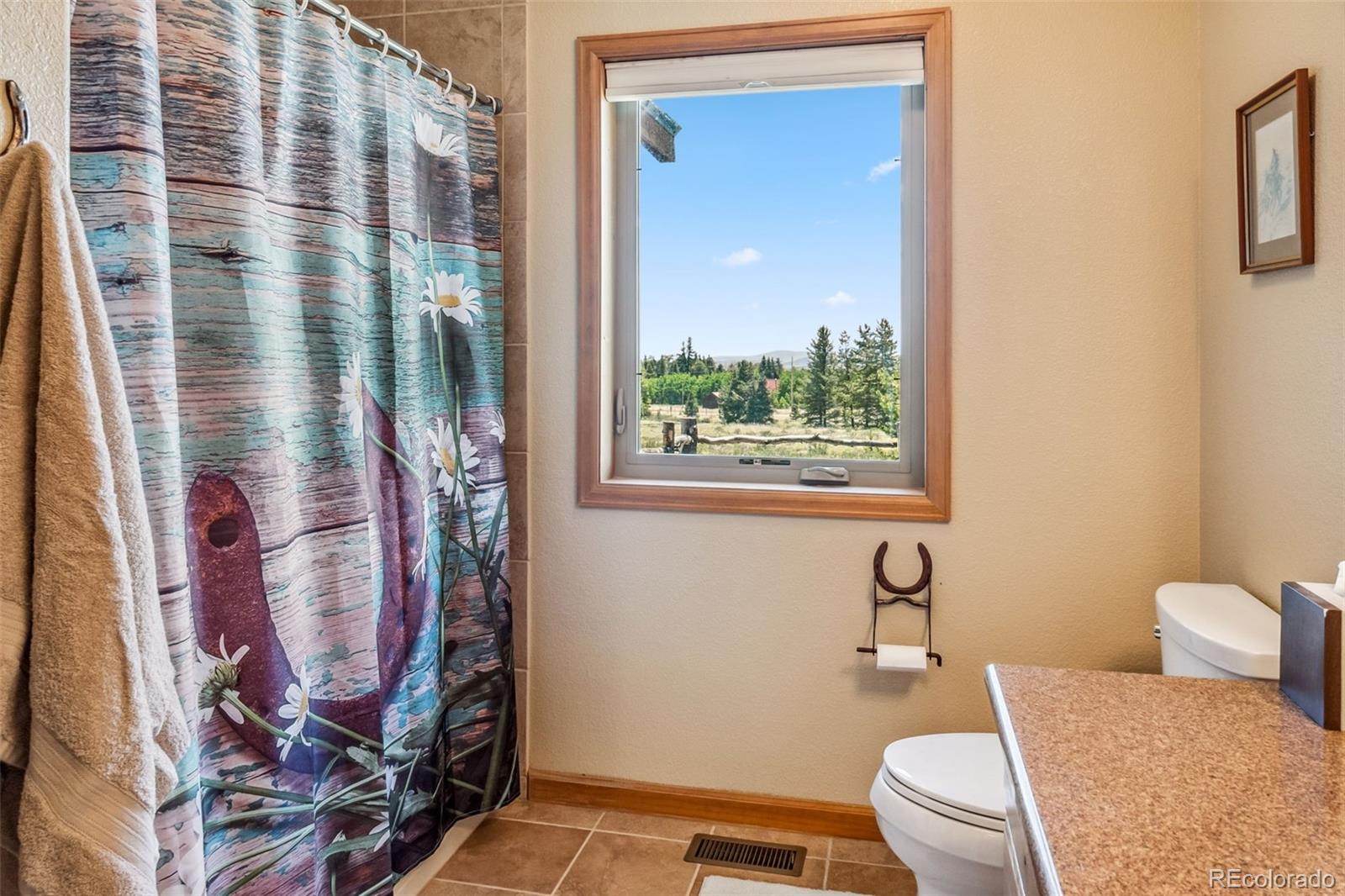 MLS Image #37 for 507  bluestem way,fairplay, Colorado