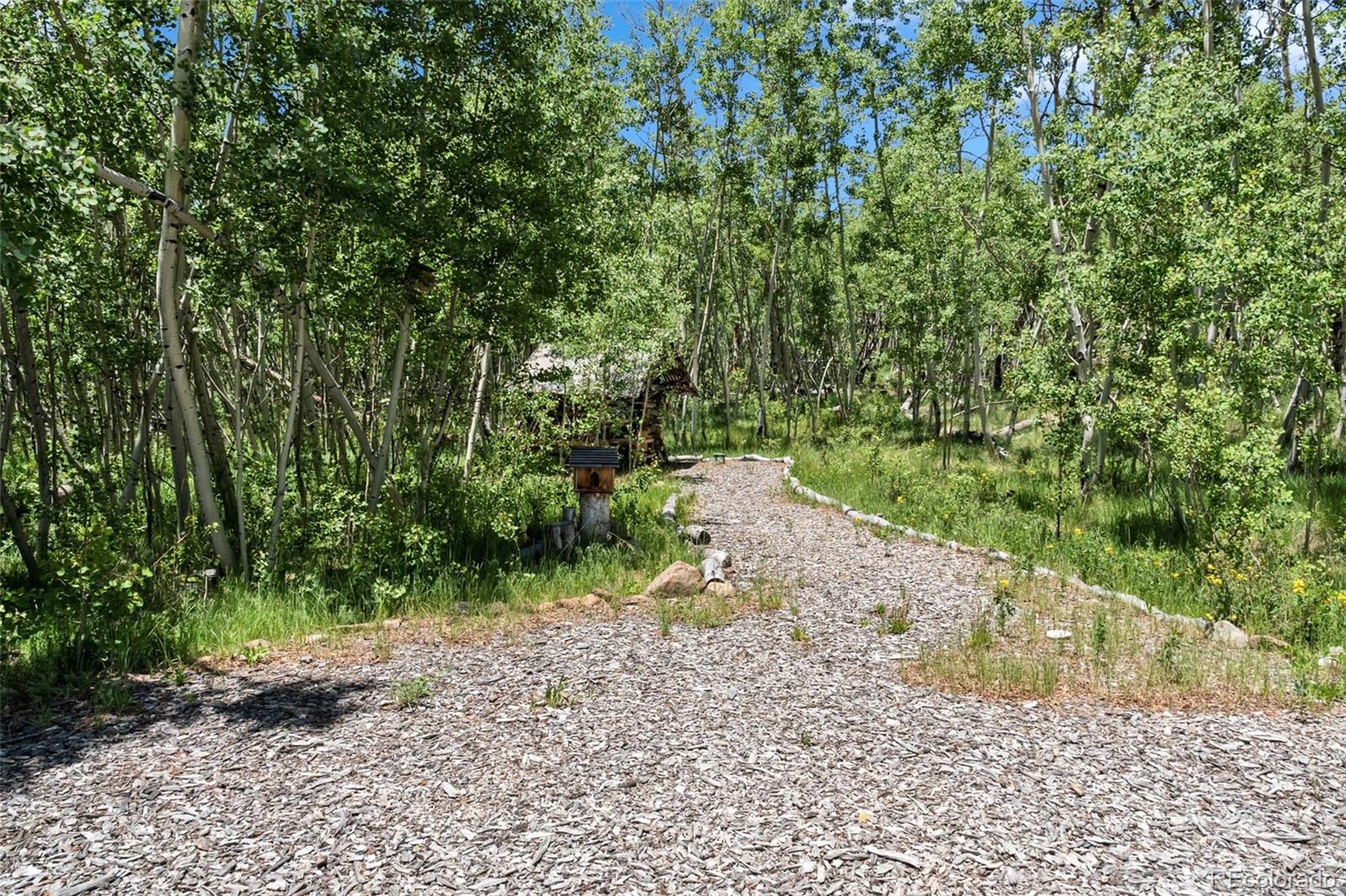 MLS Image #44 for 507  bluestem way,fairplay, Colorado