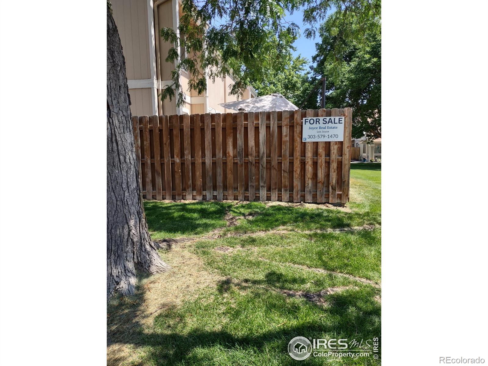 MLS Image #26 for 8774  chase drive,arvada, Colorado