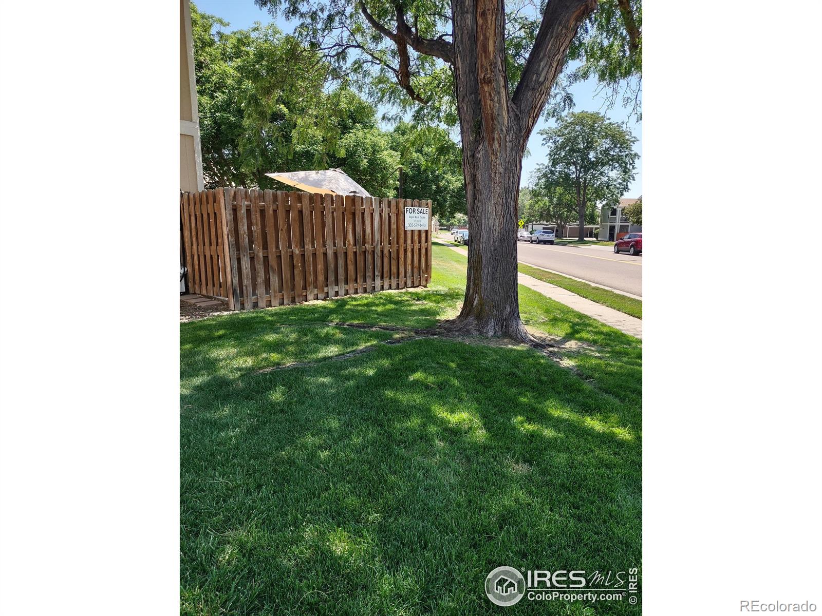 MLS Image #29 for 8774  chase drive,arvada, Colorado