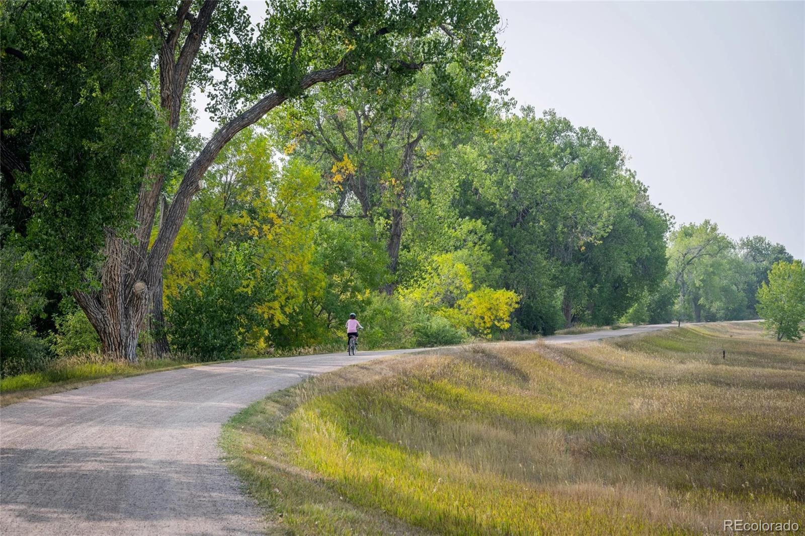 MLS Image #19 for 1681 w canal circle,littleton, Colorado